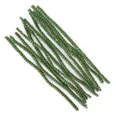 Druciki kreatywne 30cm sosna 12szt Druciki kreatywne 30cm sosna 12szt