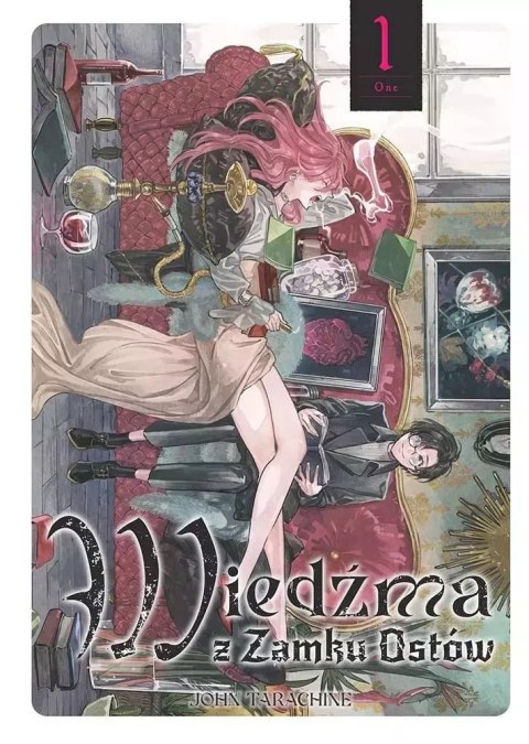 Wiedźma z Zamku Ostów. Tom 1 Wiedźma z Zamku Ostów. Tom 1