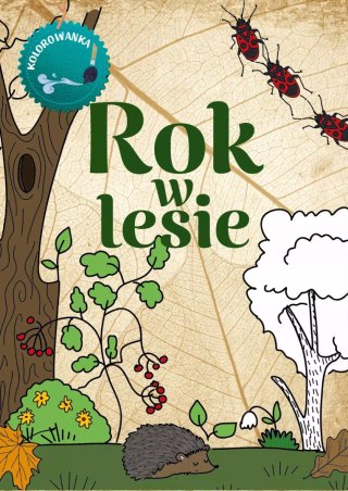 Rok w lesie Kolorowanka