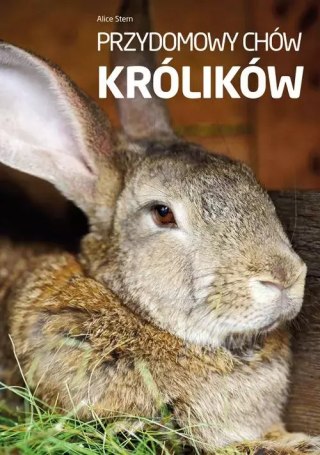 Przydomowy chów królików