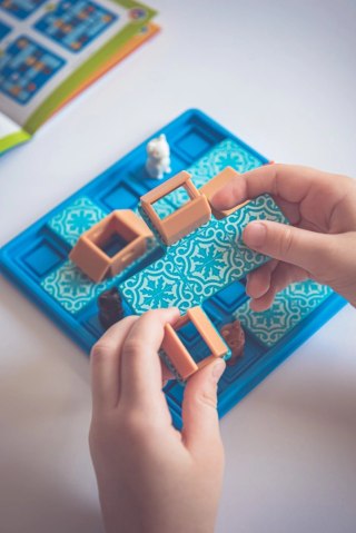 Smart Games. Cats & Boxes (wersja angielska)