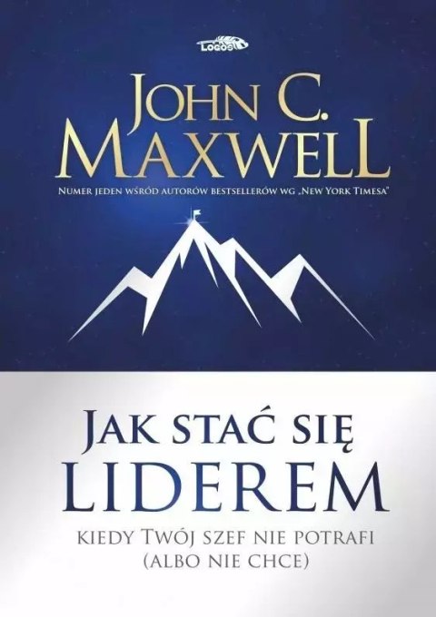 Jak stać się liderem. Kiedy Twój szef nie potrafi (albo nie chce) Jak stać się liderem. Kiedy Twój szef nie potrafi (albo nie chce)