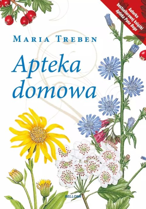 Apteka domowa Apteka domowa