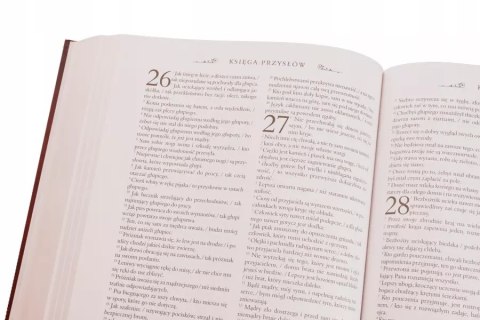 Pismo Święte Starego i Nowego Testamentu. Biblia domowa.