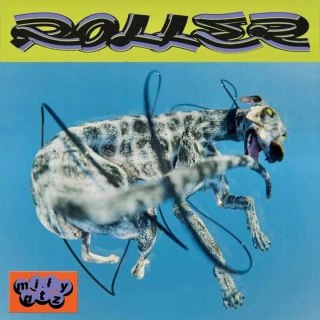 Roller, Winyl