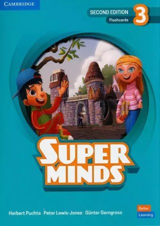 Super Minds 3. Second Edition. Flashcards