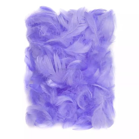 Piórka liliowe 5-12 cm 10g