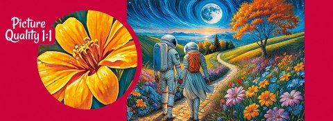 Puzzle 1000 elementów. Kosmiczna miłość 30813