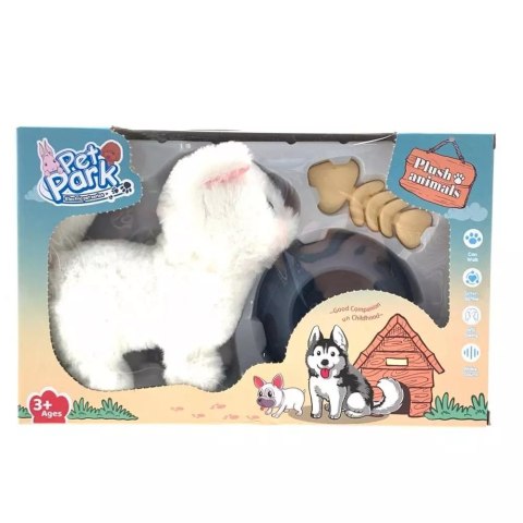 Kotek na baterie z akcesoriami Kotek na baterie z akcesoriami