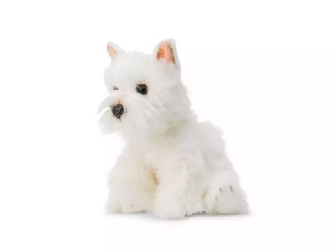 Pluszowy Westie Pluszowy Westie