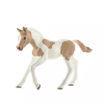 Źrebię rasy Paint Horse SLH13886 Źrebię rasy Paint Horse SLH13886