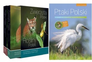 Ptaki Polski. Encyklopedia ilustrowana