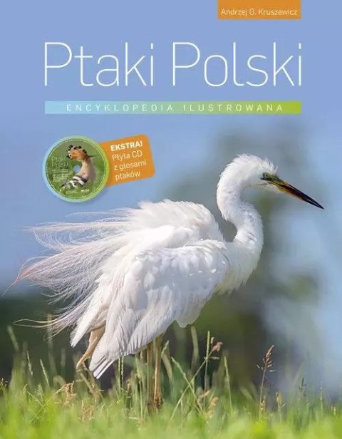 Ptaki Polski. Encyklopedia ilustrowana Ptaki Polski. Encyklopedia ilustrowana
