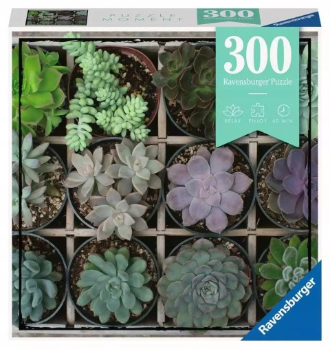 Puzzle 300 elementów. Moment. Rośliny Puzzle 300 elementów. Moment. Rośliny