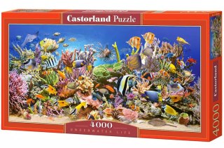 Puzzle 4000 elementów. Podwodne życie