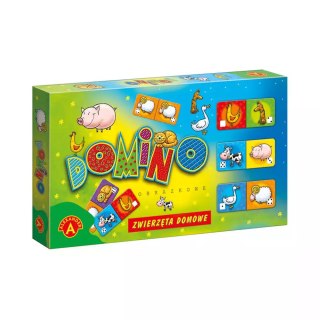 Domino. Zwierzęta domowe