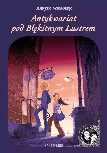 Antykwariat pod Błękitnym Lustrem Antykwariat pod Błękitnym Lustrem