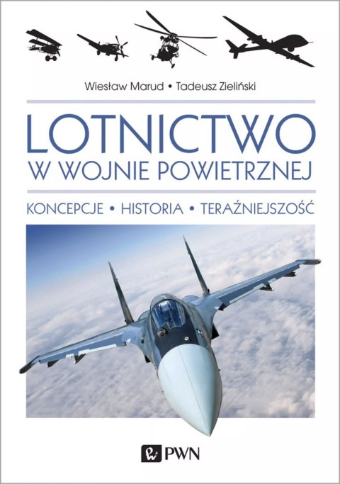 Lotnictwo w wojnie powietrznej. Koncepcje, historia, teraźniejszość