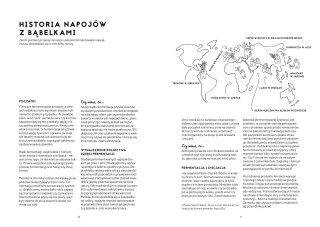 Kombucza, kefir i spółka. Fermentowane napoje z całego świata
