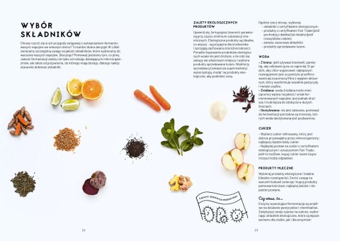Kombucza, kefir i spółka. Fermentowane napoje z całego świata Kombucza, kefir i spółka. Fermentowane napoje z całego świata