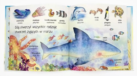 Stworzenie Świata. Słówka polsko-angielskie Stworzenie Świata. Słówka polsko-angielskie