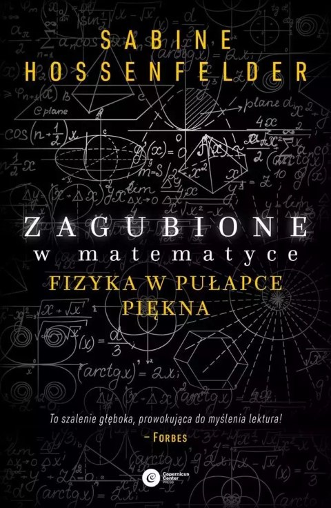 Zagubione w matematyce. Fizyka w pułapce piękna Zagubione w matematyce. Fizyka w pułapce piękna