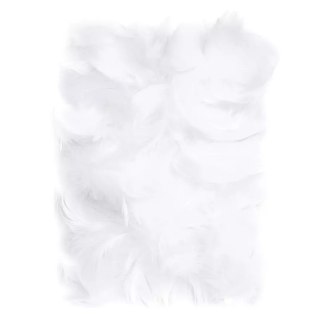Piórka białe 5-12cm 10g