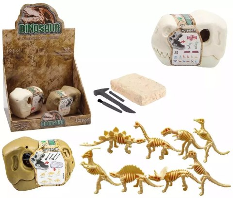 Wykopaliska dinozaury szkielet Wykopaliska dinozaury szkielet