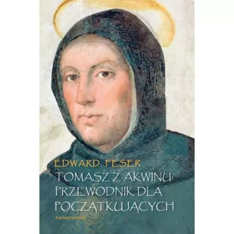 Tomasz z Akwinu. Przewodnik dla początkujących Tomasz z Akwinu. Przewodnik dla początkujących
