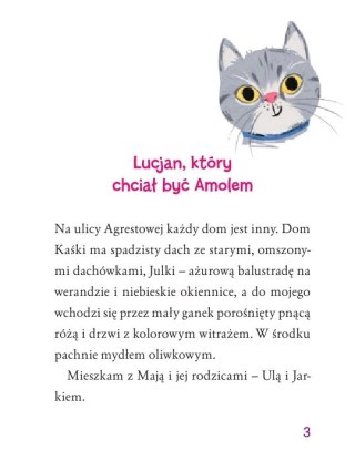 Amol kontra Amol