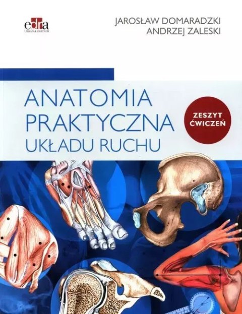 Anatomia praktyczna układu ruchu. Ćwiczenia Anatomia praktyczna układu ruchu. Ćwiczenia