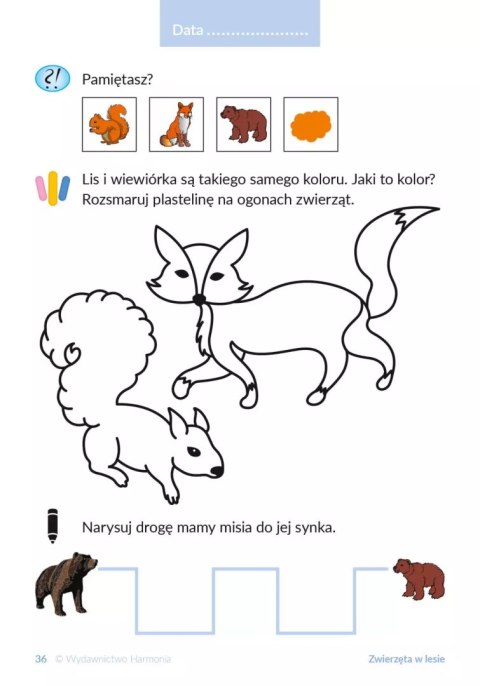 Co mnie otacza? Karty pracy dla uczniów ze specjalnymi potrzebami edukacyjnymi i trudnościami w komunikacji