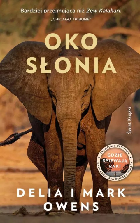 Oko słonia Oko słonia
