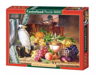 Puzzle 3000 elementów. Papuga i owoce