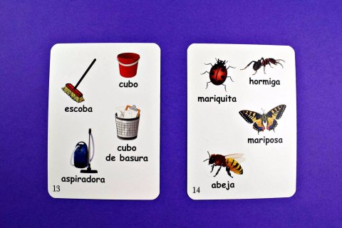 Fun Card. XXL My First 600 Spanish Words