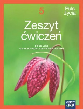 Puls życia. NEON. Szkoła podstawowa klasa 5. Zeszyt ćwiczeń. Nowa edycja 2024-2026