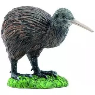 Kiwi Kiwi