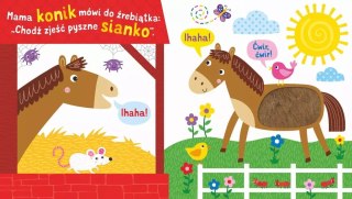Sensoksiążka. Wieś. 10 dźwięków