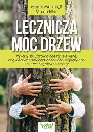 Lecznicza moc drzew. Wykorzystaj uzdrawiające kąpiele leśne, dzięki którym wzmocnisz odporność, odprężysz się i usuniesz negatyw