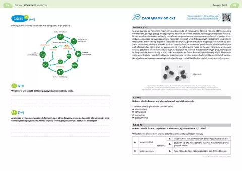 Matura 2024. Biologia. Repetytorium maturalne Matura 2024. Biologia. Repetytorium maturalne